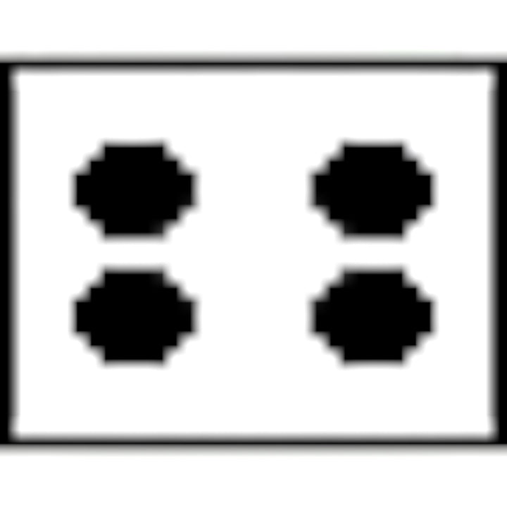 Grapes & Floral Wall Plate (Rust Finish)