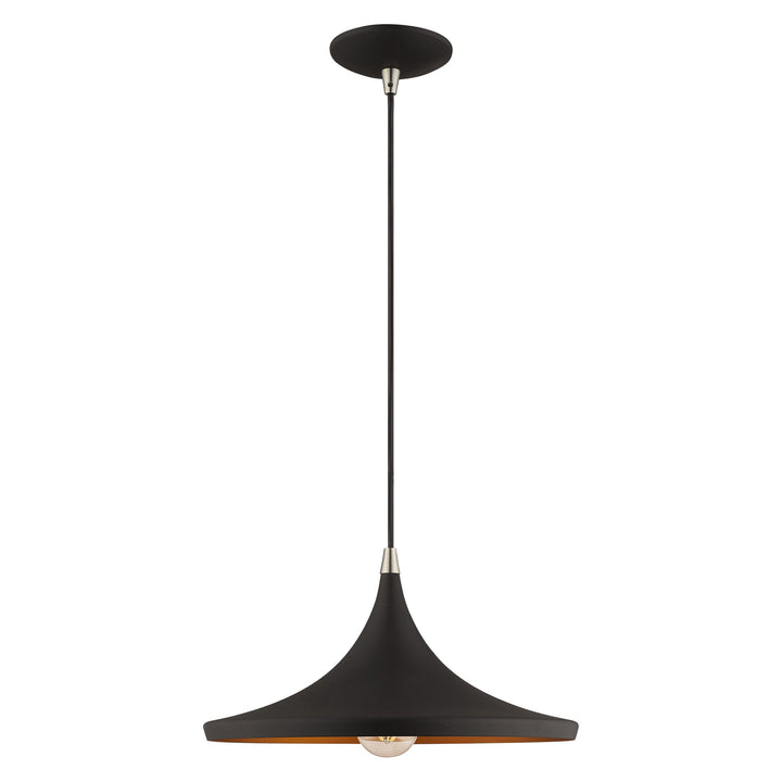 1 Light Black Single Pendant Pendant Livex